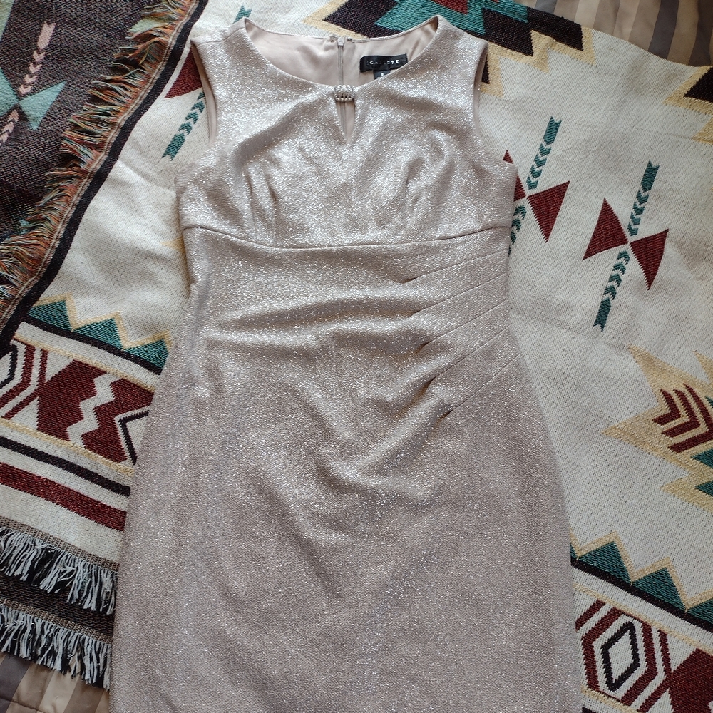 Sparkling Formal Dress